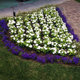 Realizzazione giardini