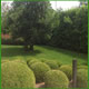 realizzazione giardini piacenza, realizzazione giardini su terrazzi piacenza, realizzazione impianti di irrigazione piacenza