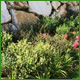 Realizzazione giardini, impianti d’irrigazione, realizzazione giardini su terrazzi